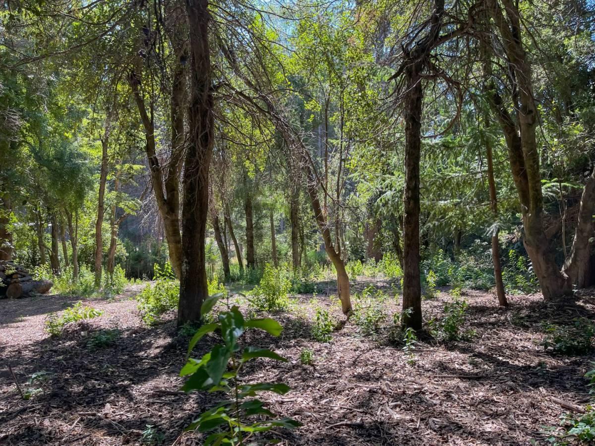 Foto de Venta lote Villa La Angostura, imagen 2