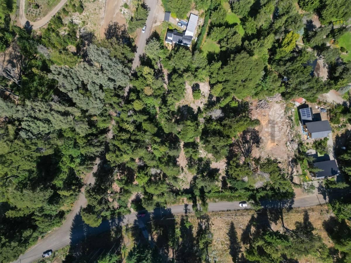 Foto de Venta lote Villa La Angostura, imagen 4