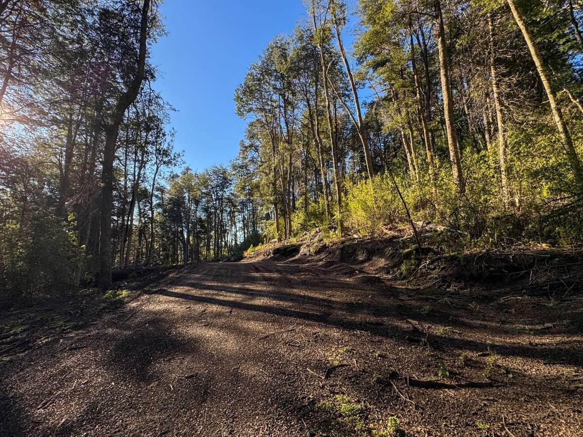 Foto de Venta lote Villa La Angostura, imagen 4