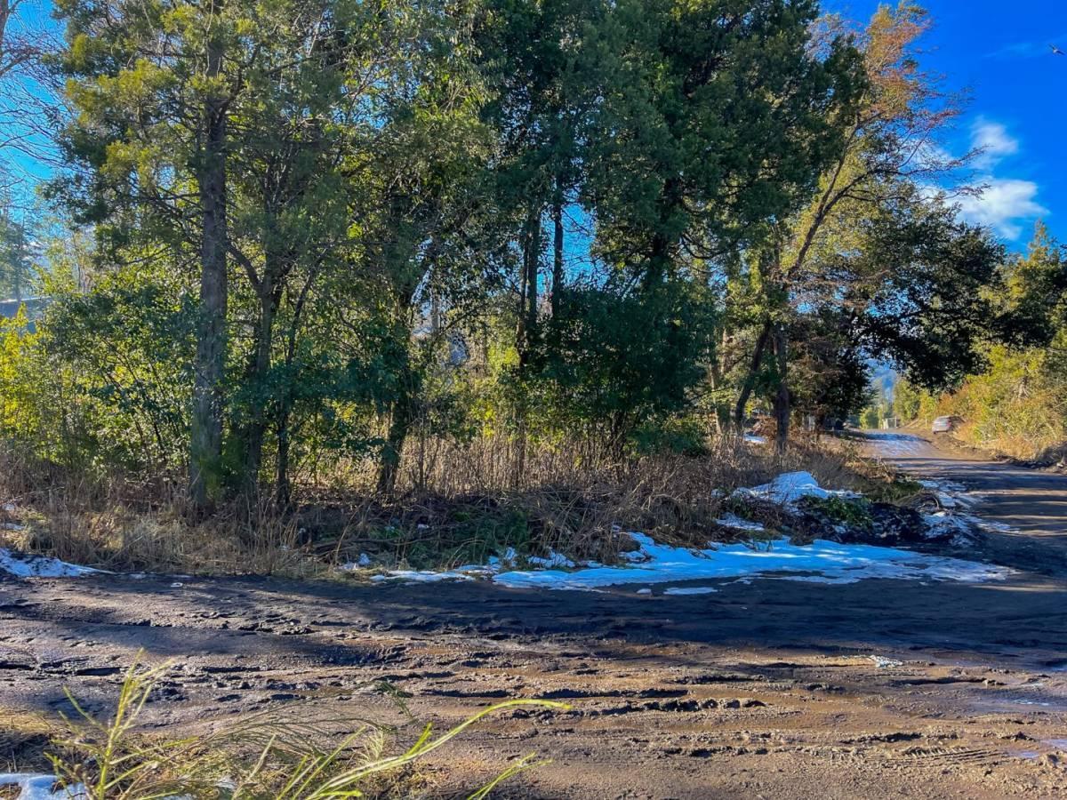 Foto de Venta lote Villa la Angostura, imagen 2