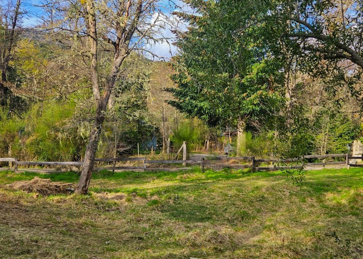 Foto de Venta lote Villa La Angostura, imagen 5