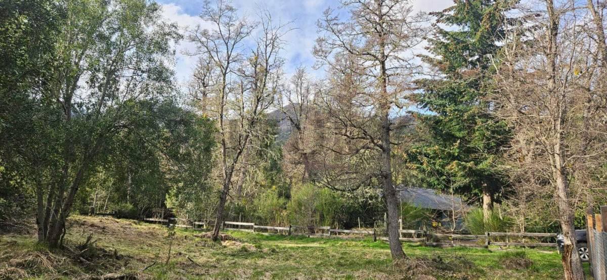 Foto de Venta lote Villa La Angostura, imagen 3
