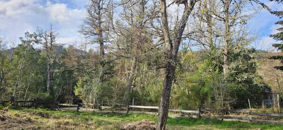 Foto de Venta lote Villa La Angostura, imagen 2