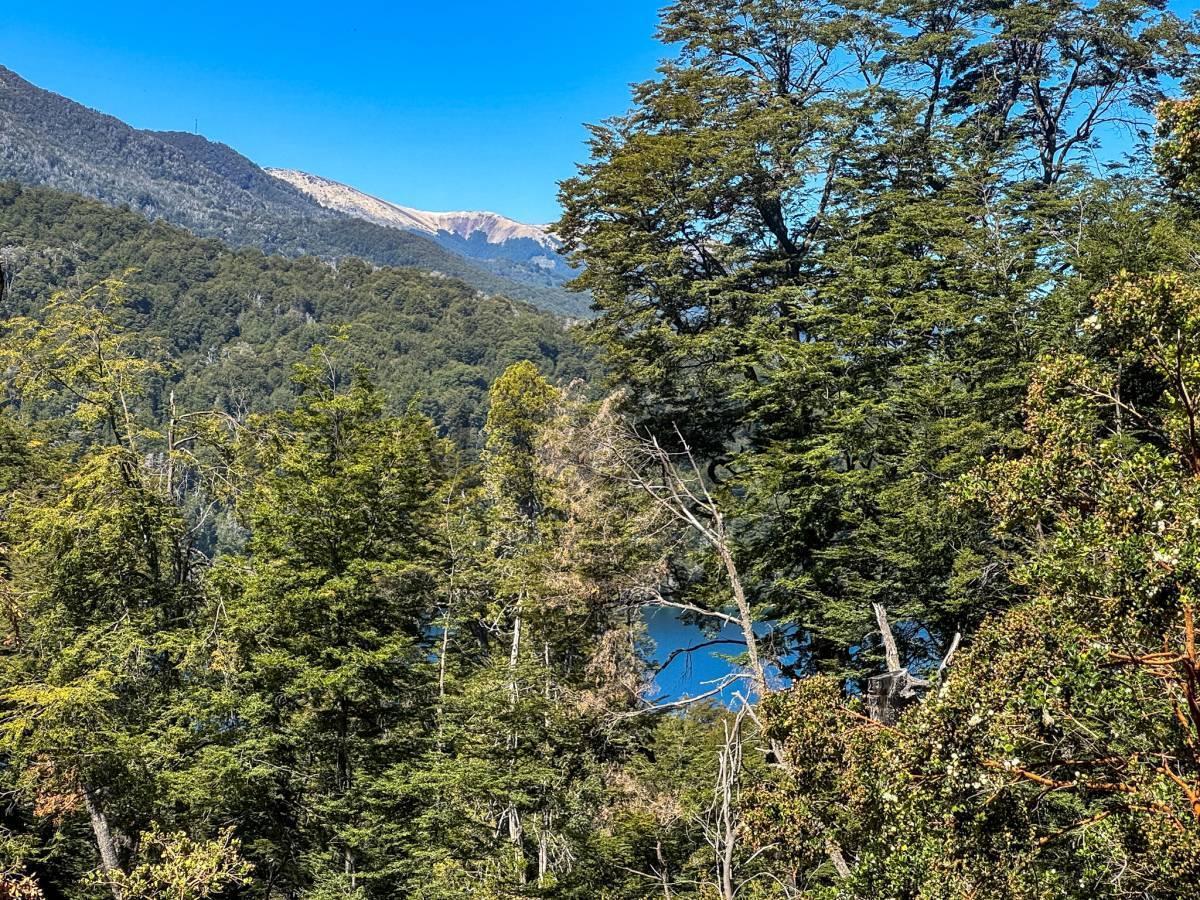 Foto de Venta casa Villa La Angostura, imagen 4