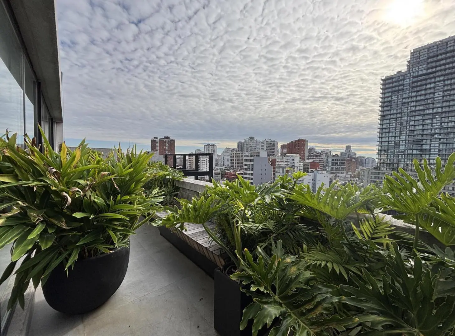 Oficina en Venta y Alquiler a Estrenar - Amenities- Seg- Belgrano 5