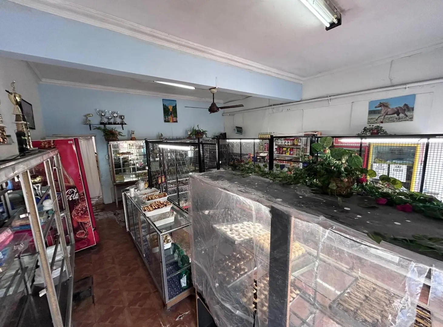 LOCAL DEPOSITO Y VIVIENDA EN LLAVALLOL - VENTA 2