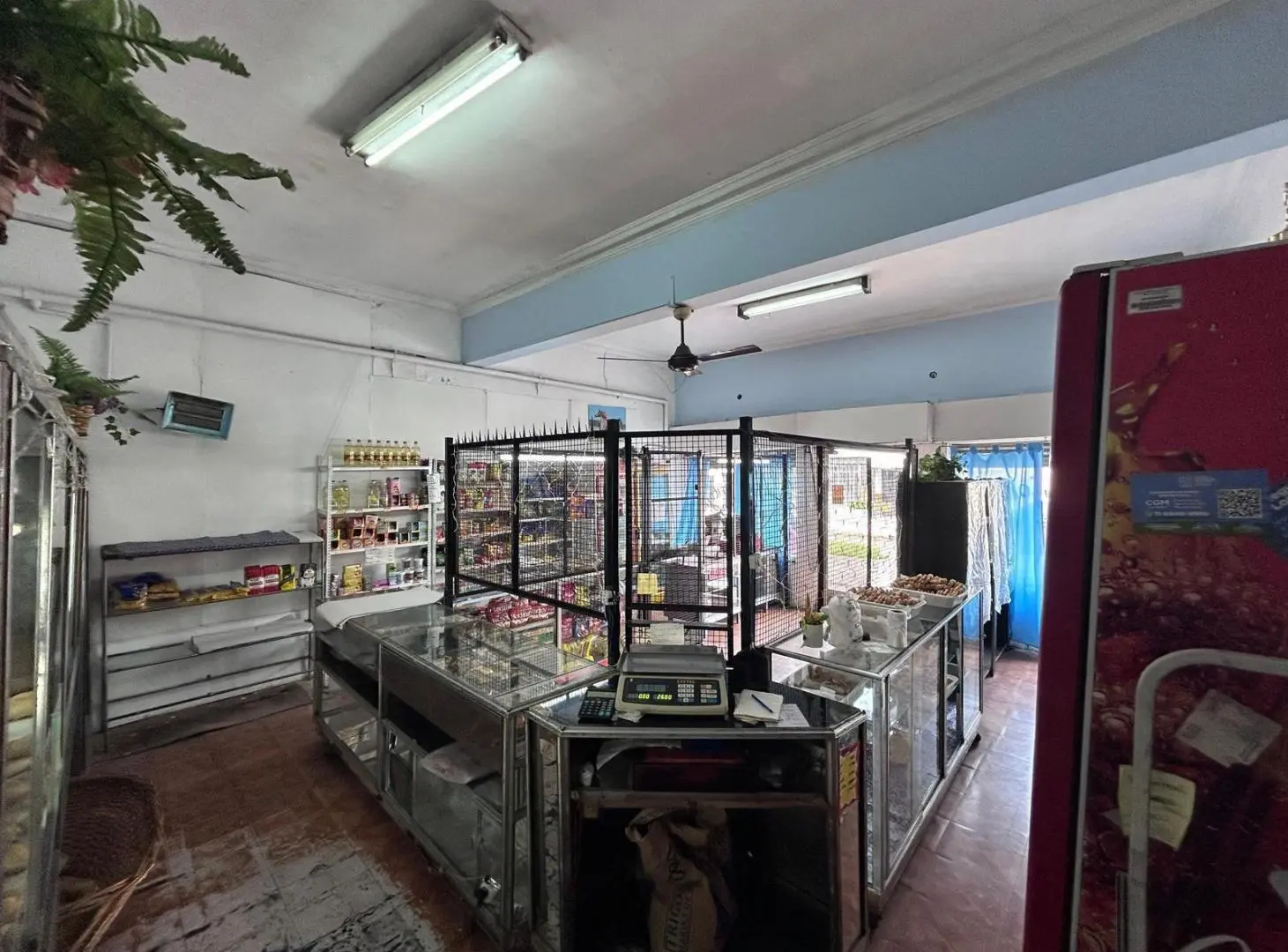 LOCAL DEPOSITO Y VIVIENDA EN LLAVALLOL - VENTA 1