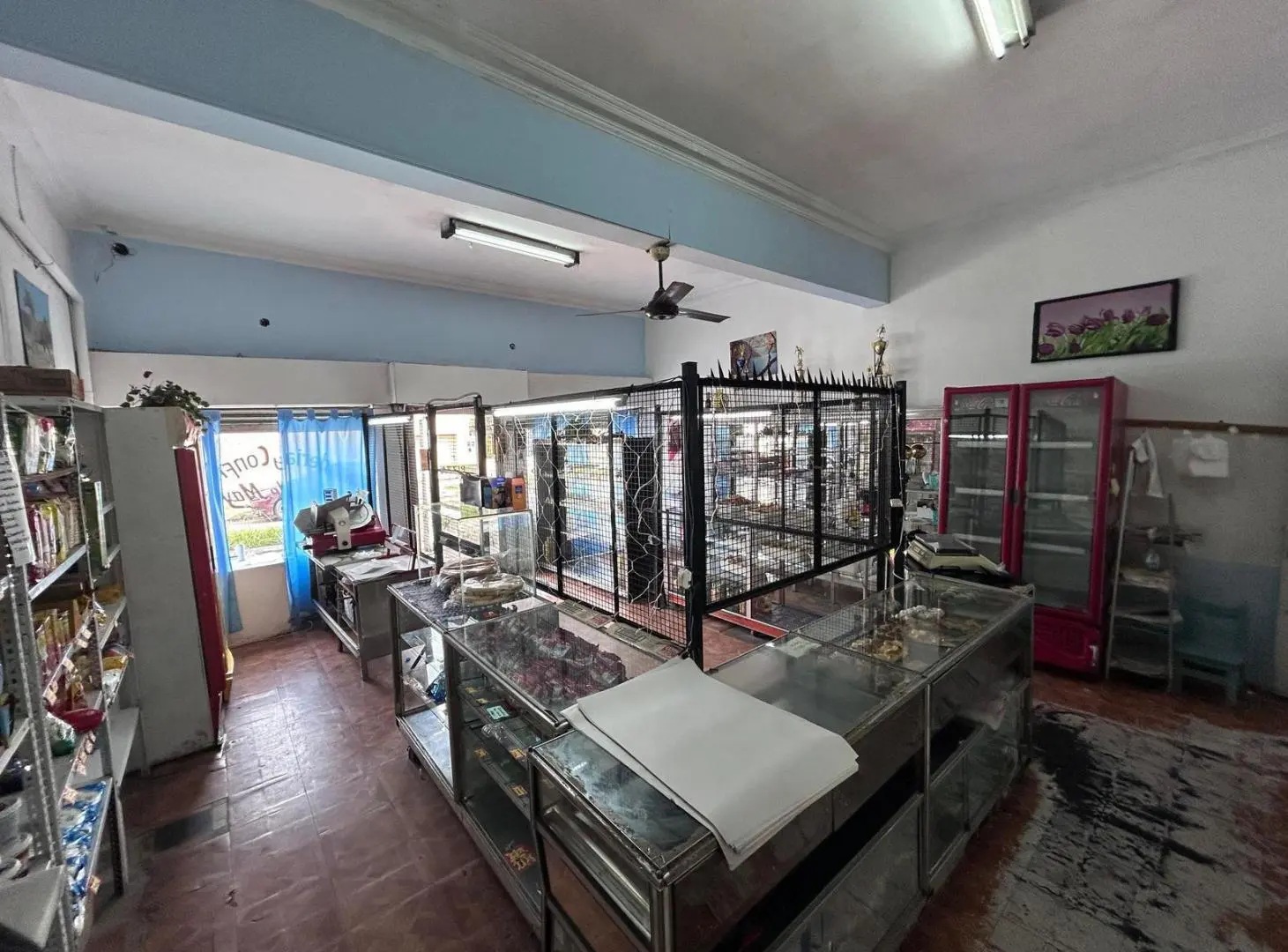 LOCAL DEPOSITO Y VIVIENDA EN LLAVALLOL - VENTA 3