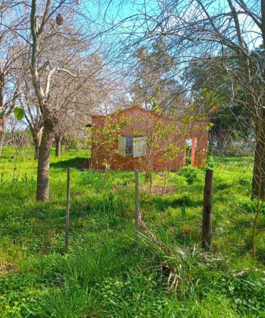 Foto de 40 HECTAREAS en SALADILLO, imagen 1