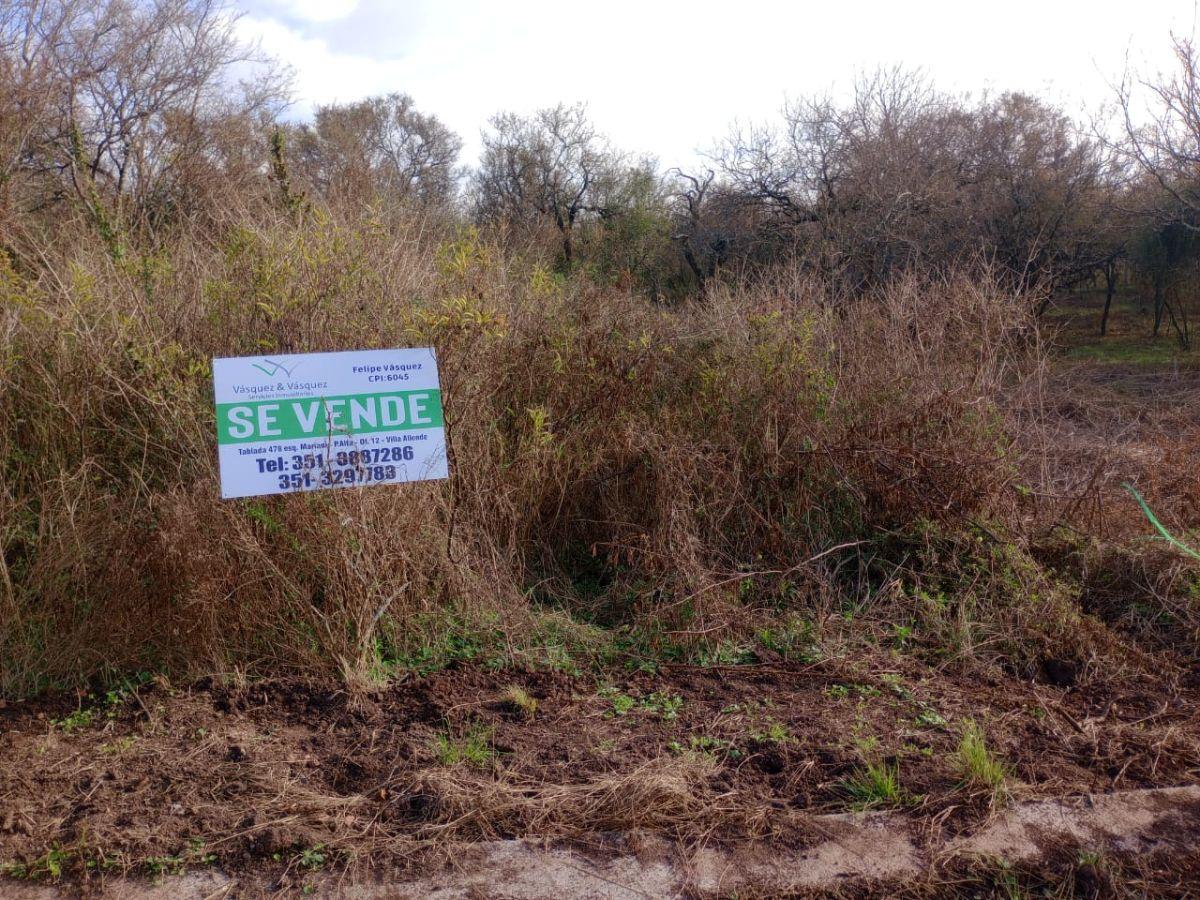 Foto de Se Vende! Lote de 350m2 en B° Lomas del Chañar!, imagen 4