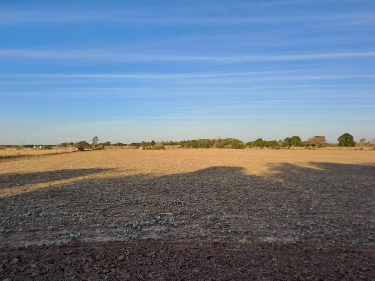 CAMPO EN EL GATEADO