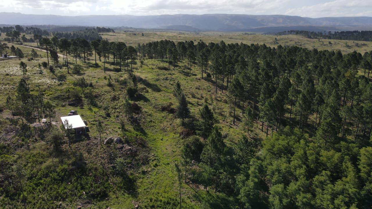 TERRENO 14.600m2 VILLA BERNA