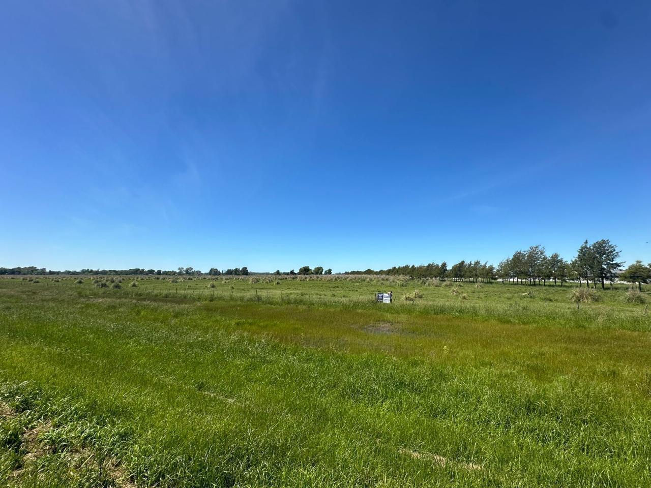 VENTA HECTAREAS EN URIBELARREA