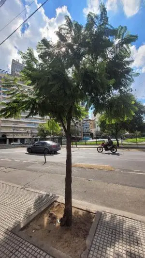 Alquiler departamento de 1 ambiente divido 5