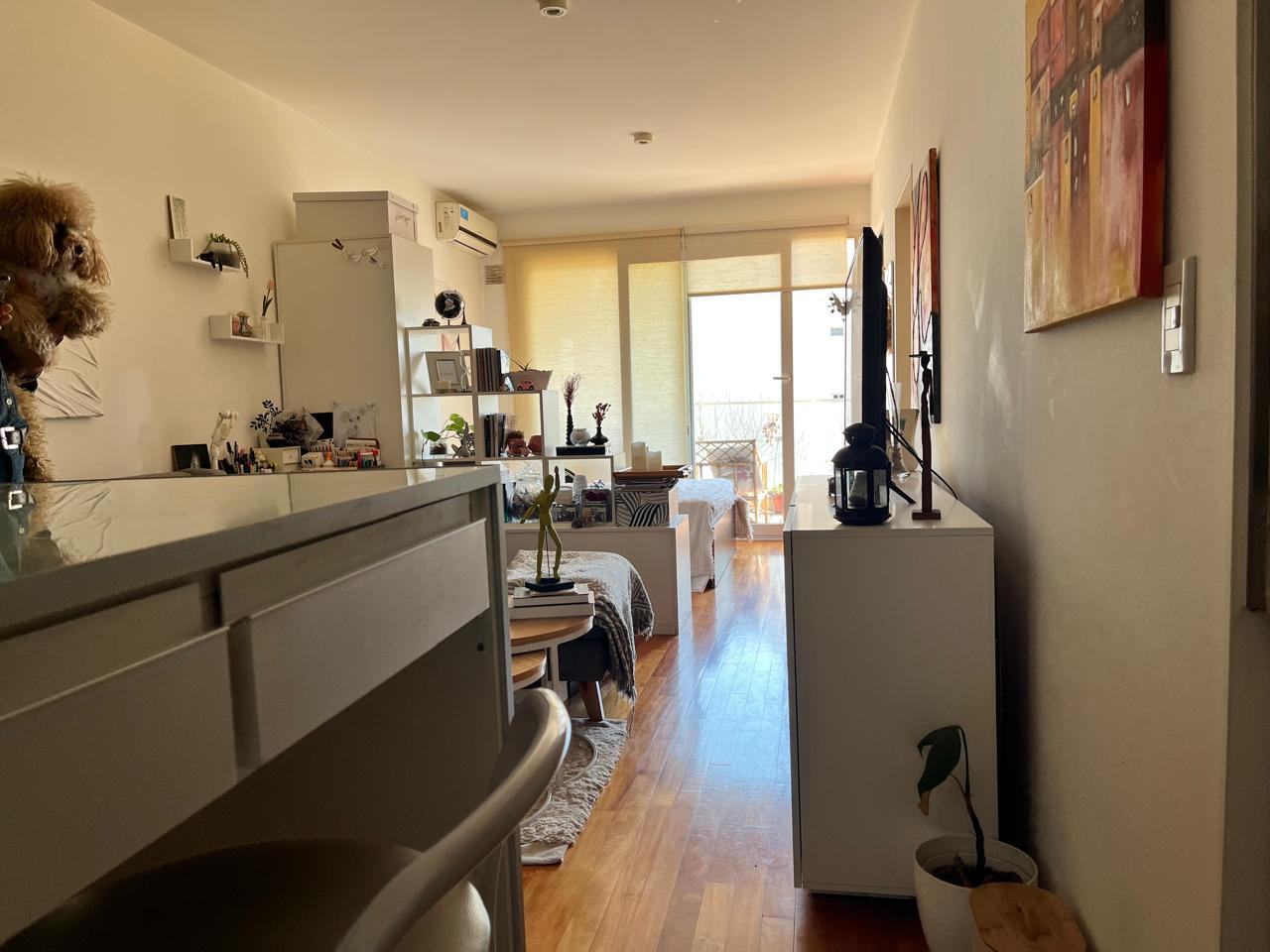 Foto de VENTA BELGRANO MONOAMBIENTE PILETA PARRILLA LAUNDRY SAUNA TERCER PISO, imagen 5