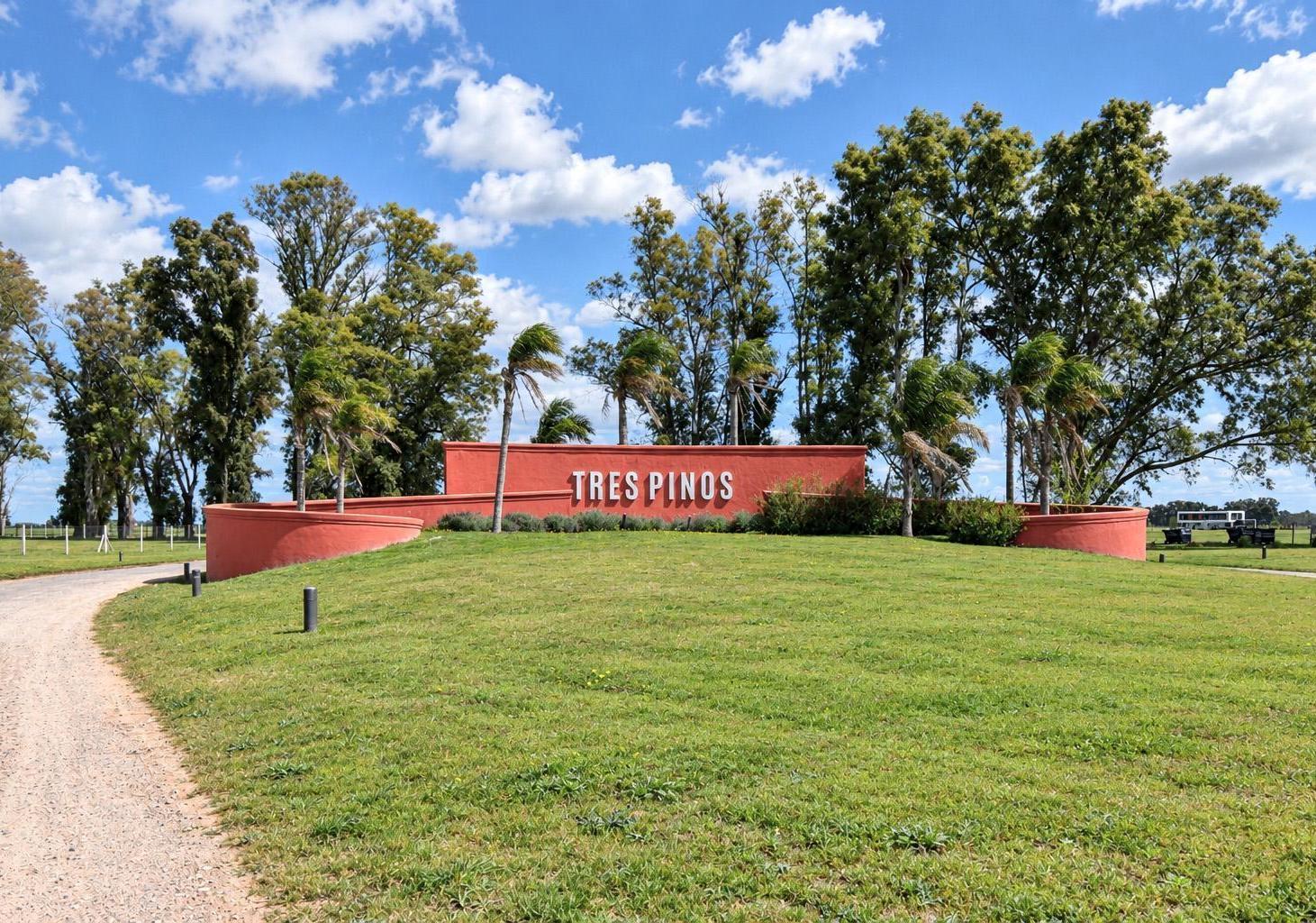 Foto de Terreno en Los Tres Pinos, imagen 4