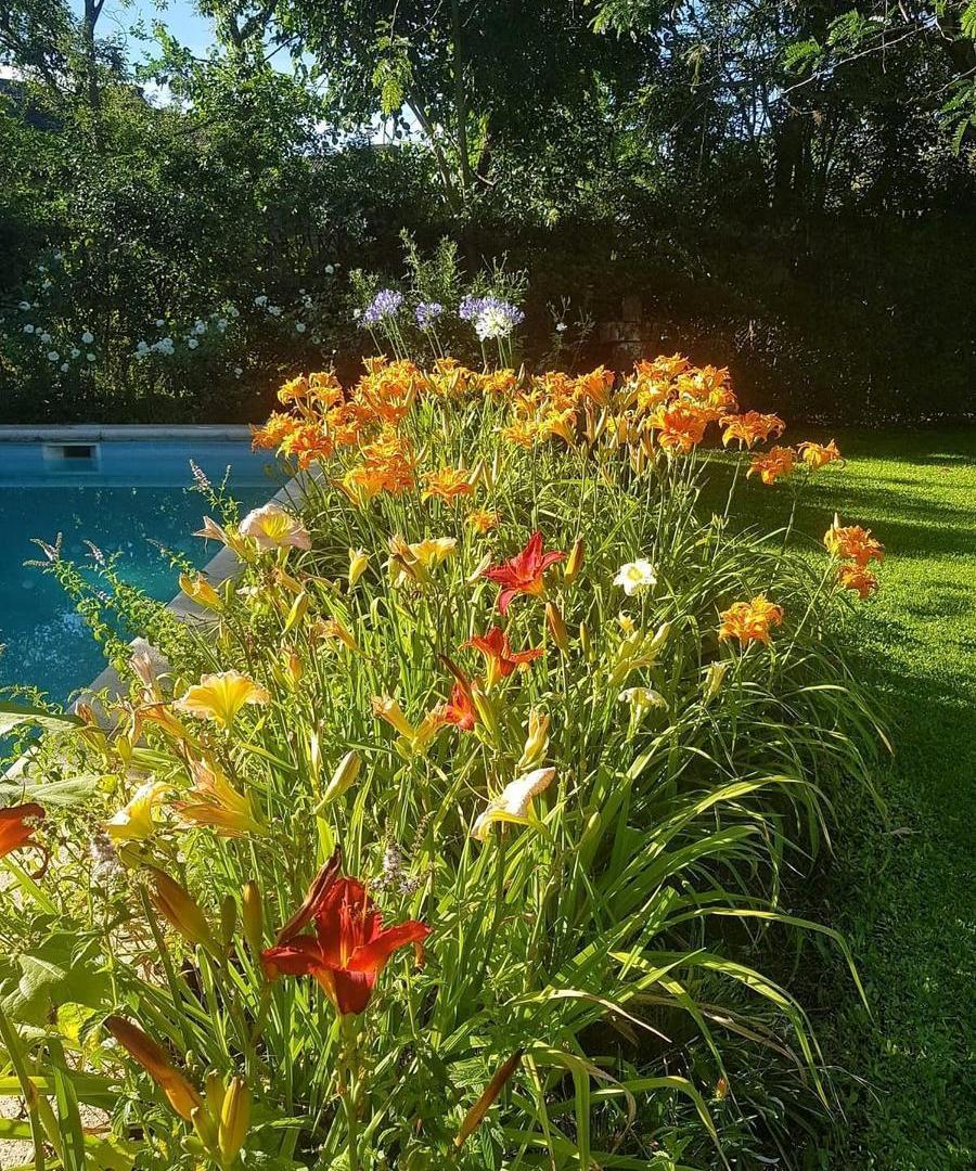 Foto de Casa en alquiler en Village Golf, imagen 2
