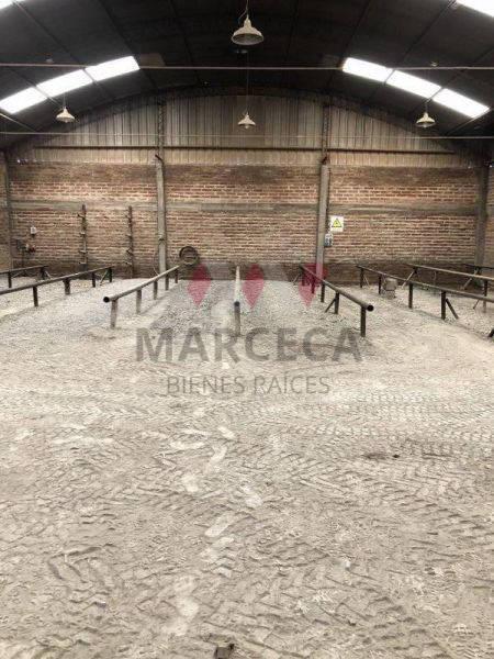 Venta de Galpón en Parque Industrial, Centenario 3