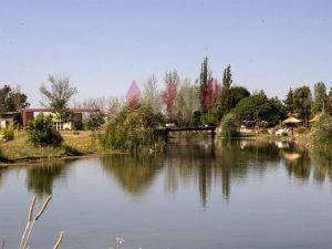 LOTES EN VENTA EN FINCAS DEL DIAMANTE SAN RAFAEL MENDOZA