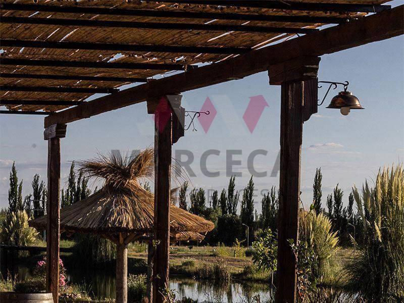 Foto de LOTES EN VENTA EN FINCAS DEL DIAMANTE SAN RAFAEL MENDOZA, imagen 4