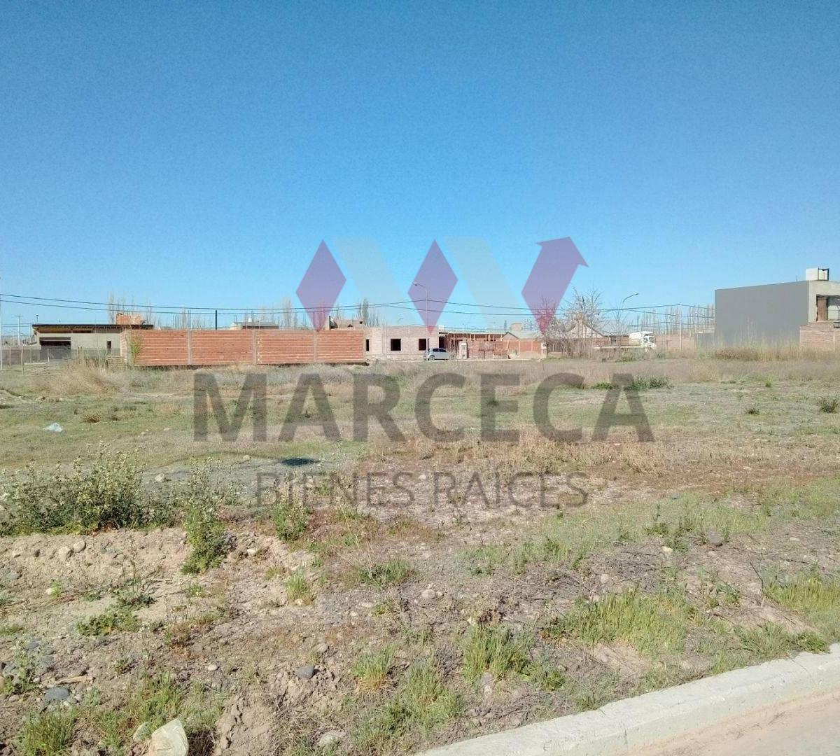 Ultimo Lote Venta en Altos de Alberdi IV Sobre Calle Alberdi 5