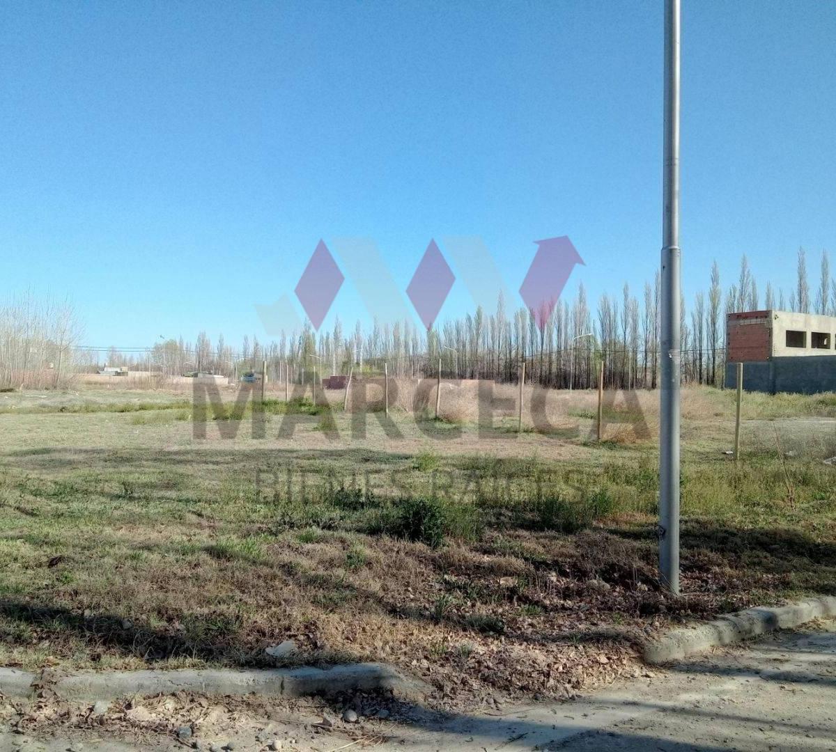 Ultimo Lote Venta en Altos de Alberdi IV Sobre Calle Alberdi 4
