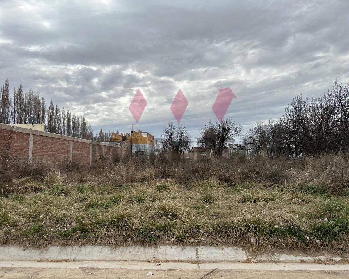 Lote. | Manzanar de Plottier - Plottier 2