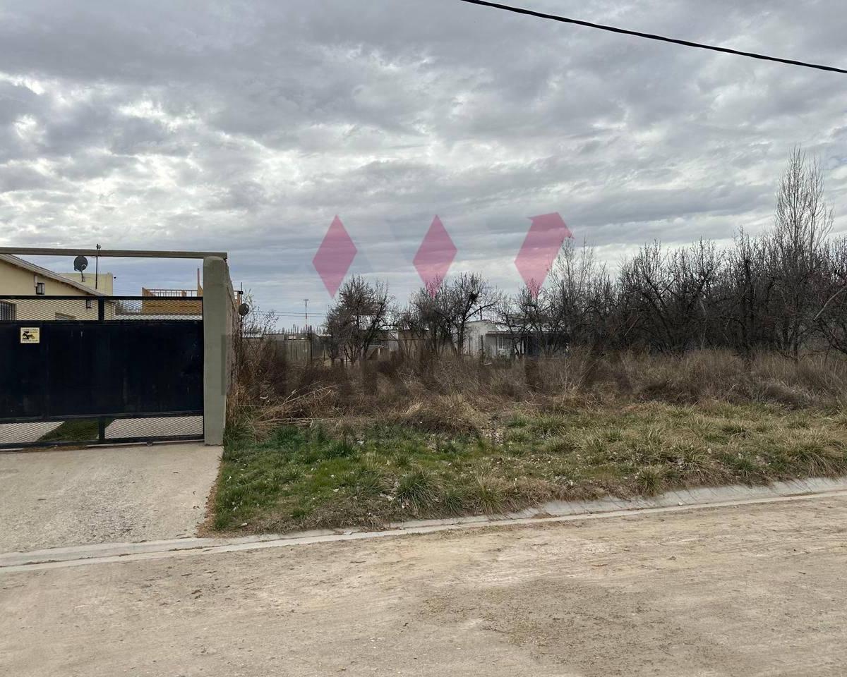 Lote. | Manzanar de Plottier - Plottier 4
