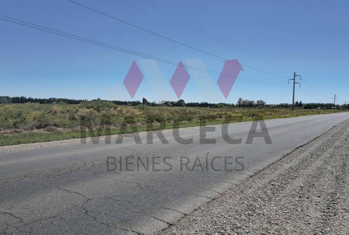 Foto de Lote campo grande, imagen 3