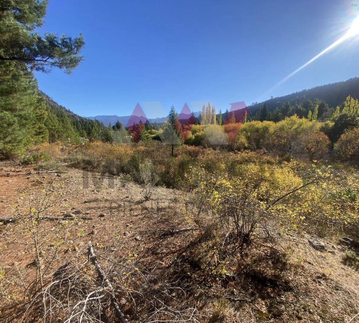 Chacra Venta 7,66 Ha en El Bolsón Rio Negro 3