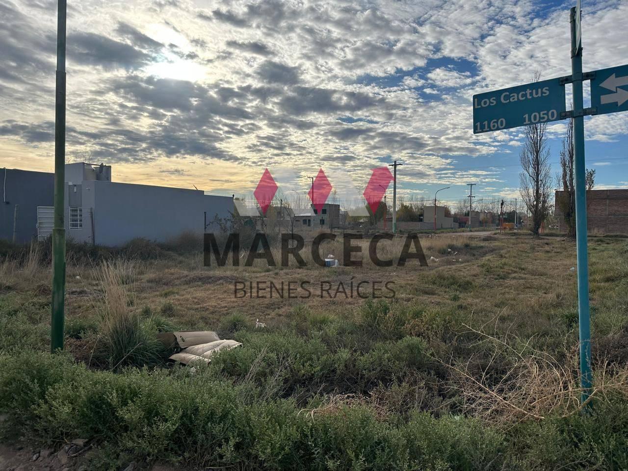 Foto de Lote en venta, imagen 4