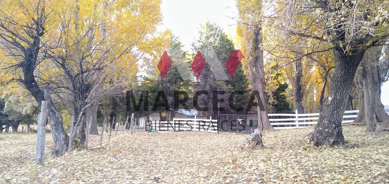 VENTA Estancia Ache-Co 22.260 ha sobre el Embalse Piedra del Águila - Patagonia 3