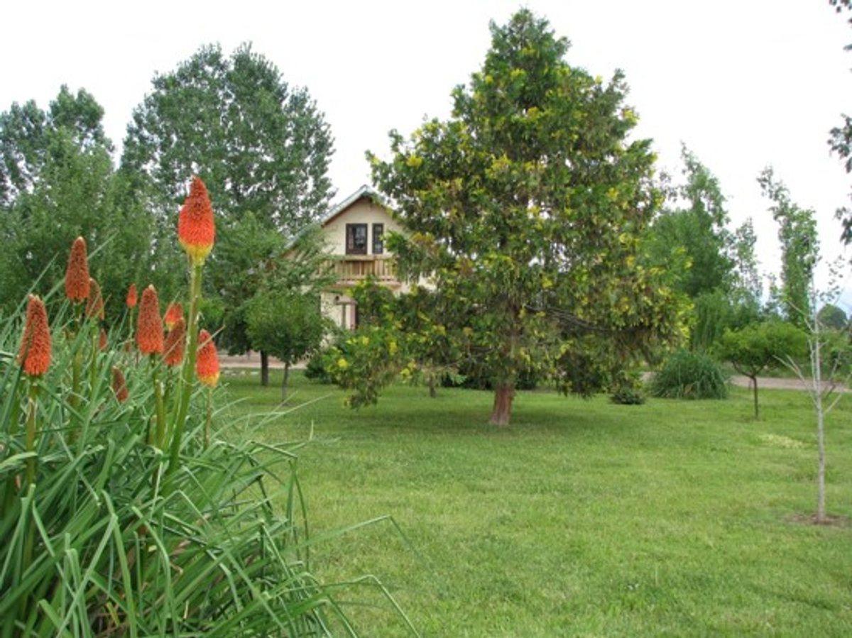 Terreno con Casa en Venta en Rn 40 y Rn 7 Perdriel 5