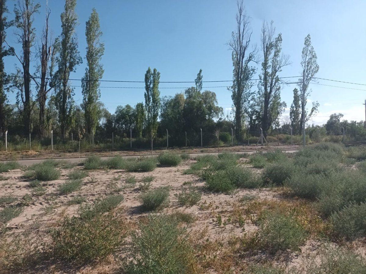 Venta Lote Barrio Privado Milcayac II - Maipu. 5