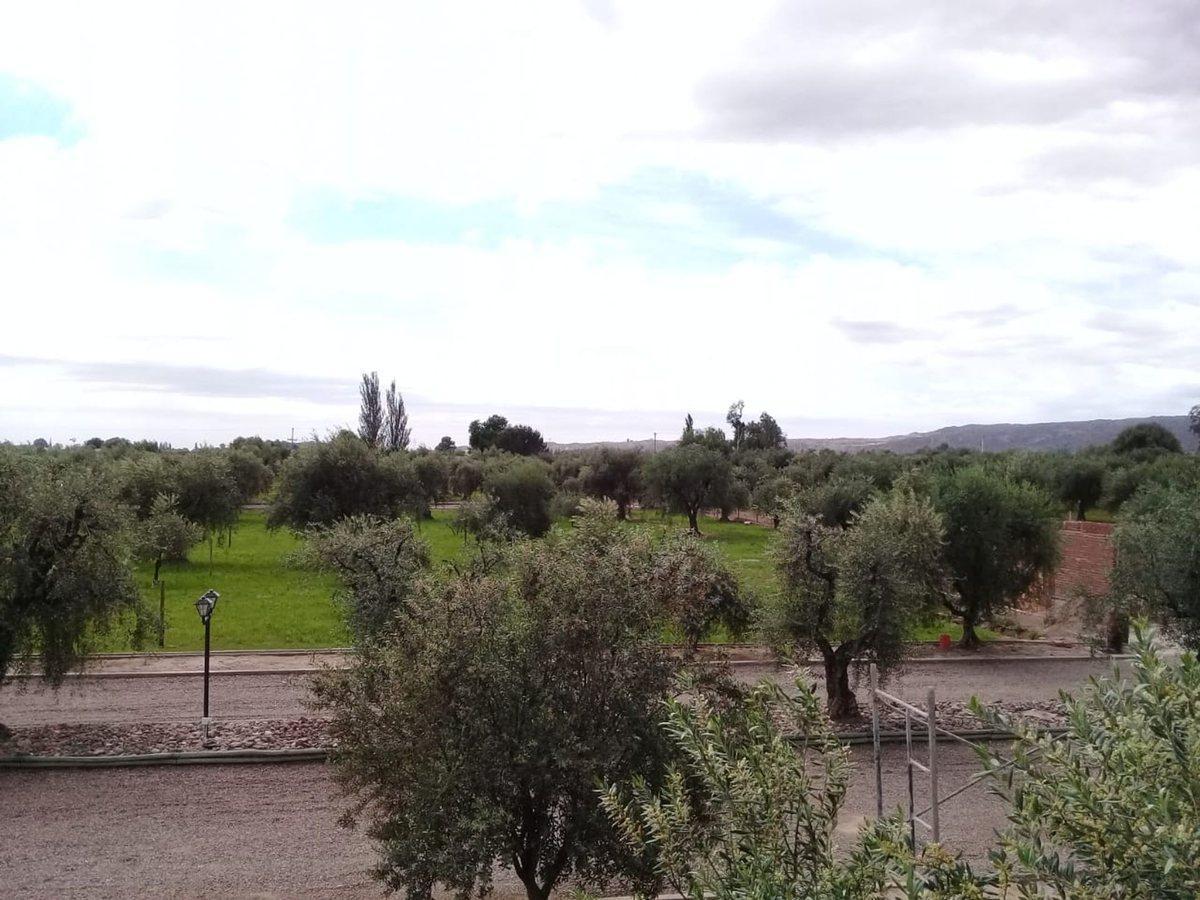 Lote Esquina en Venta en Olivos de Furlotti 3