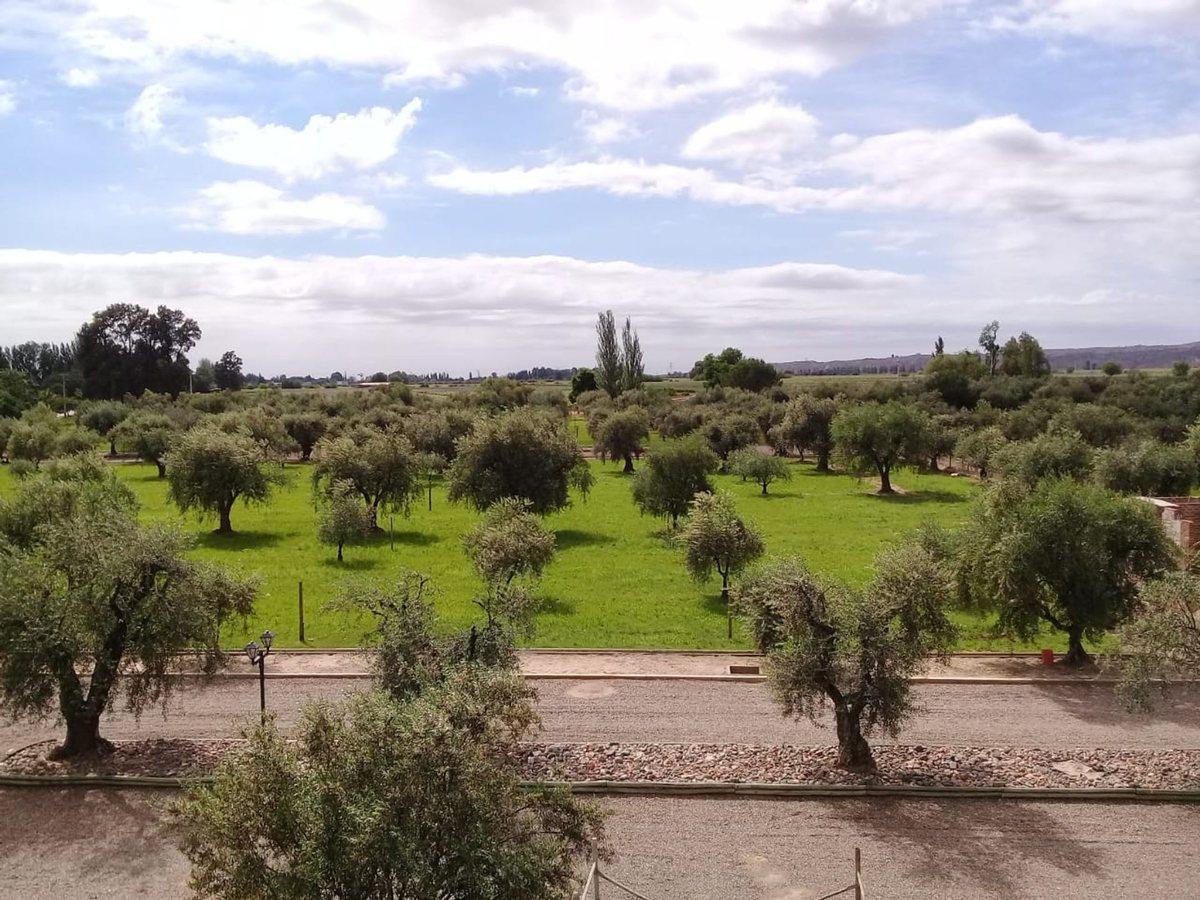Lote Esquina en Venta en Olivos de Furlotti 4