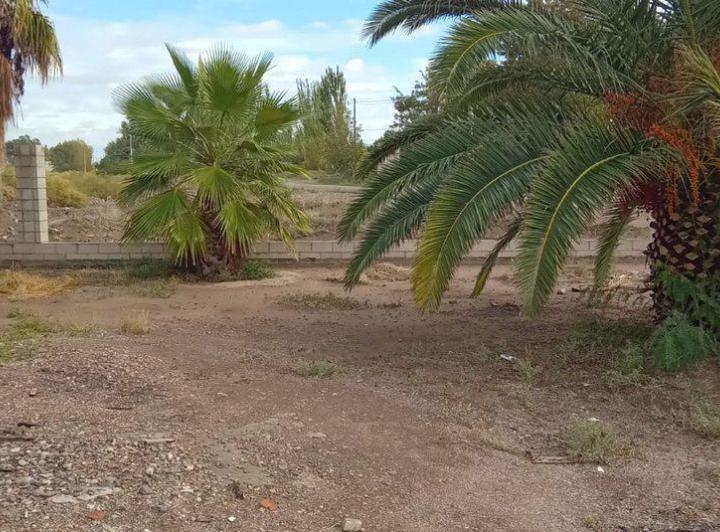 Venta de casa en Carril Norte, San Martín, Mza 3