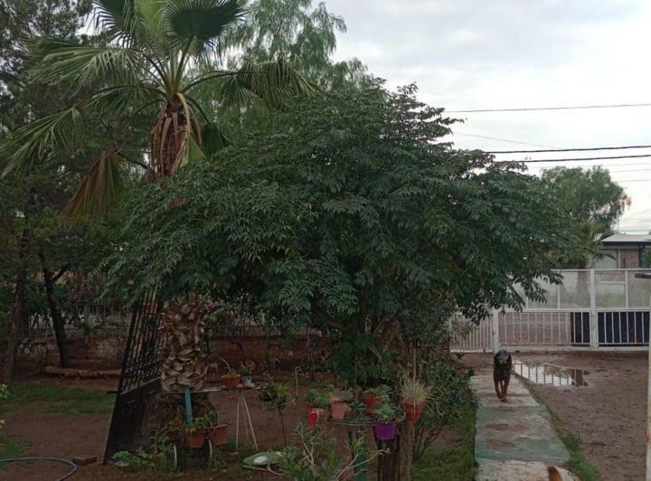CASA EN VENTA B° ALTO CHALLAO, LAS HERAS, MENDOZA 4