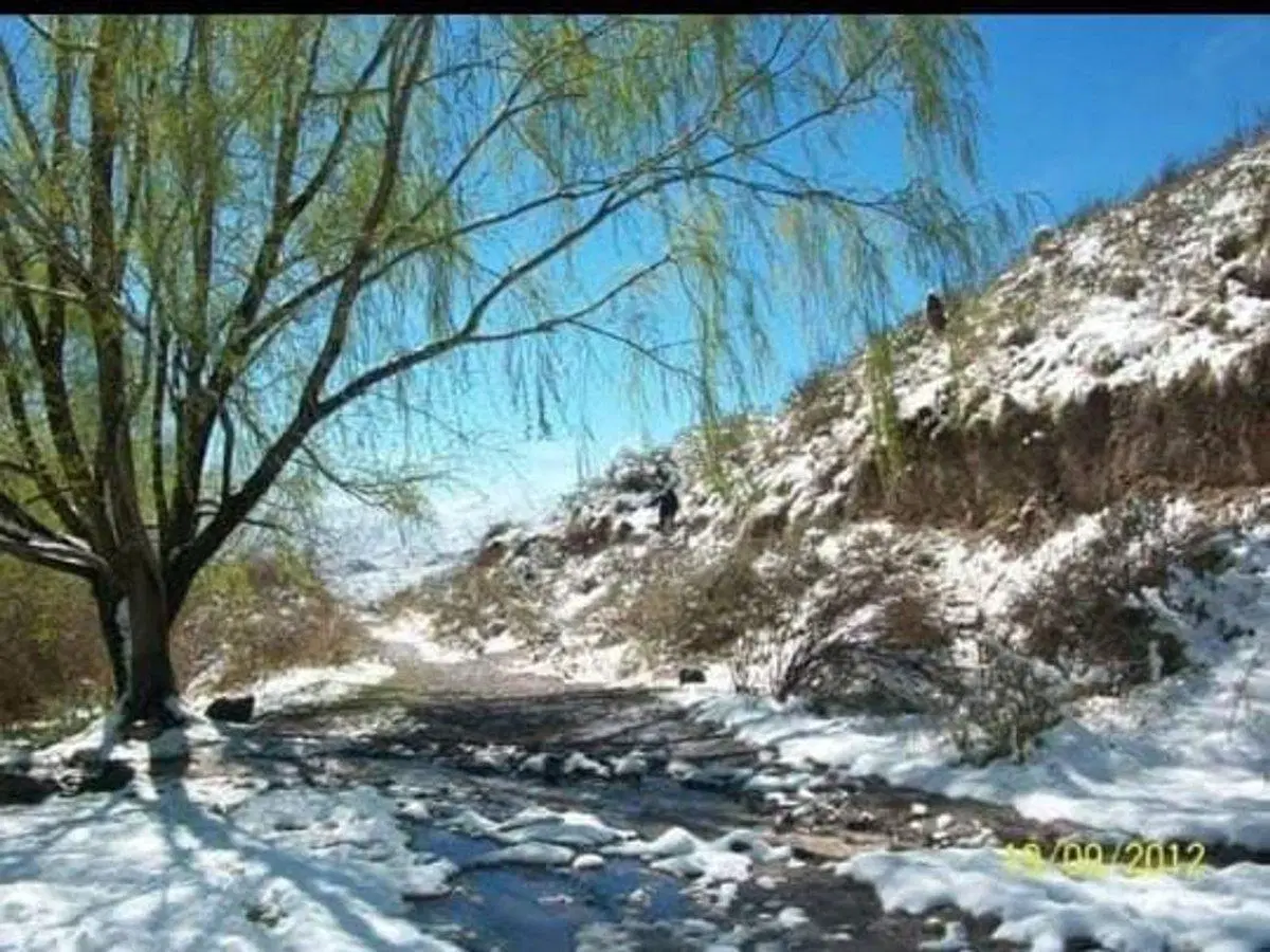 VENTA CABAÑA LAS VEGAS POTRERILLOS 5