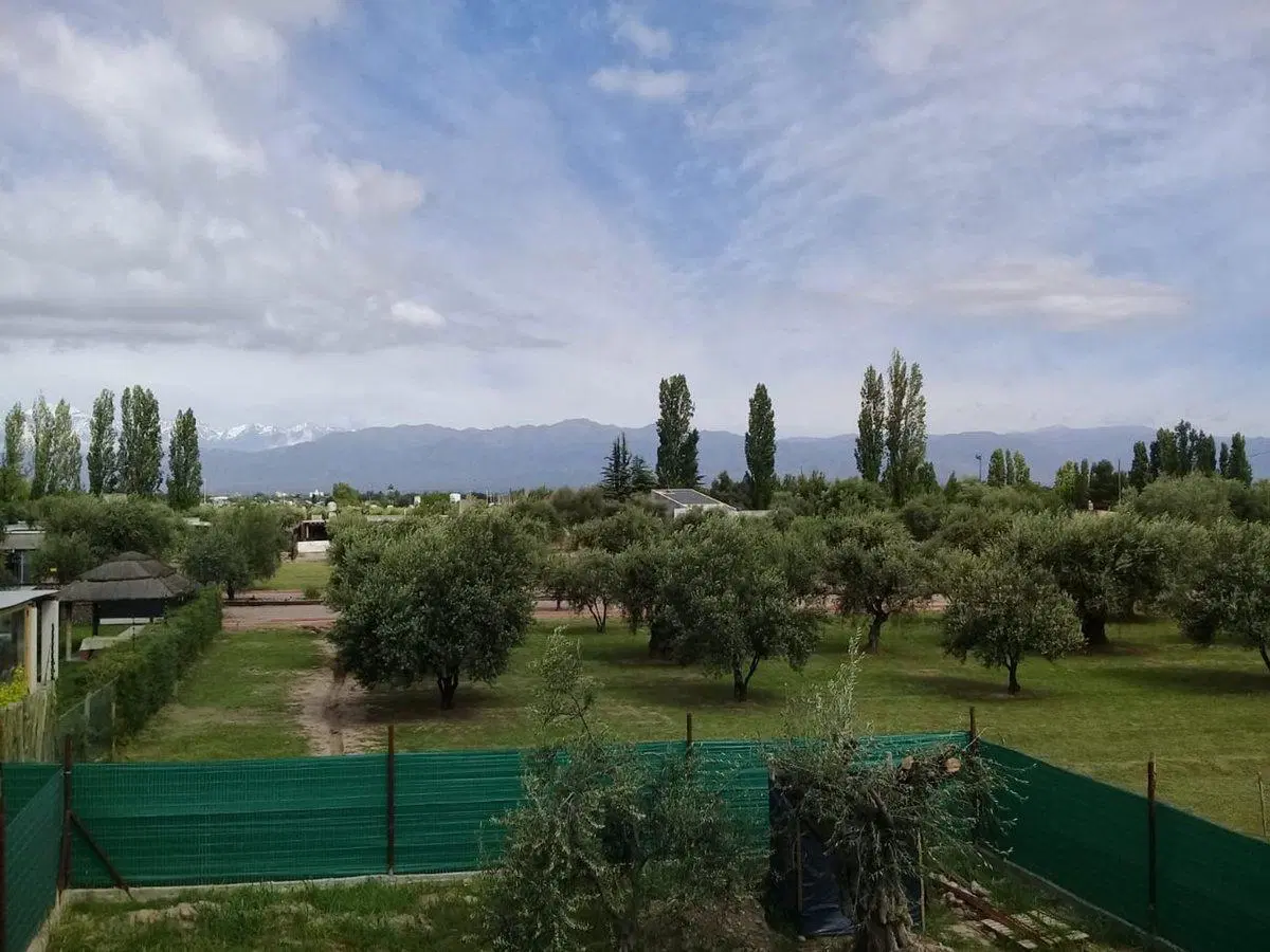 Lote esquina en venta en Olivos de Furlotti 5
