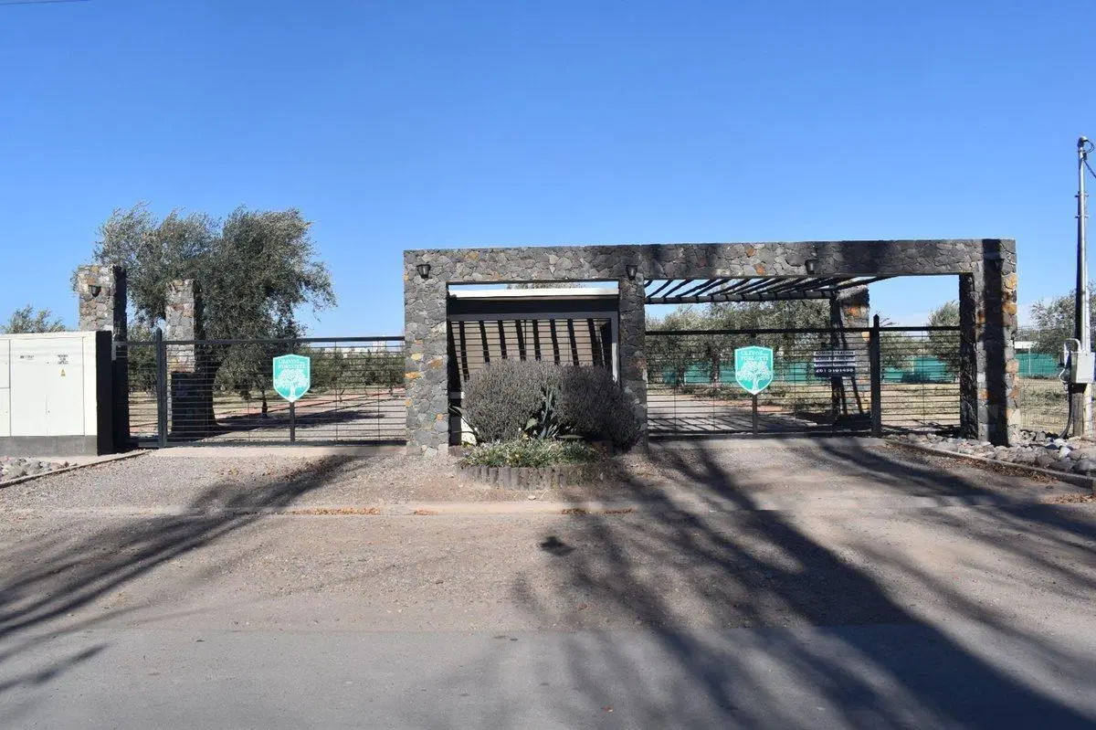 Lote esquina en venta en Olivos de Furlotti 4
