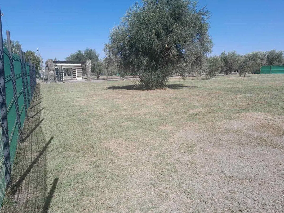 Lote frontal en Venta en Barrio Olivos de Furlotti 3