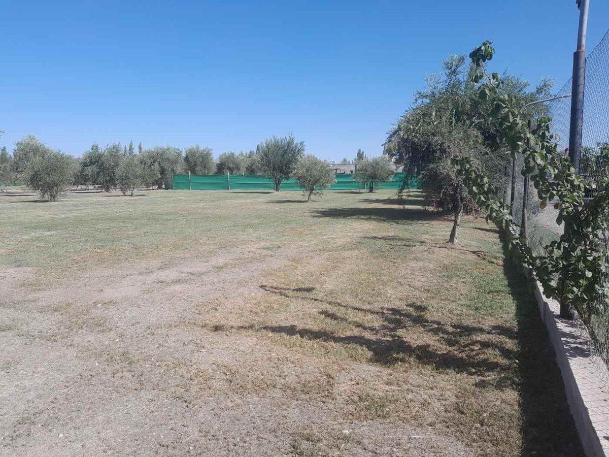 Foto 5 de Furlotti