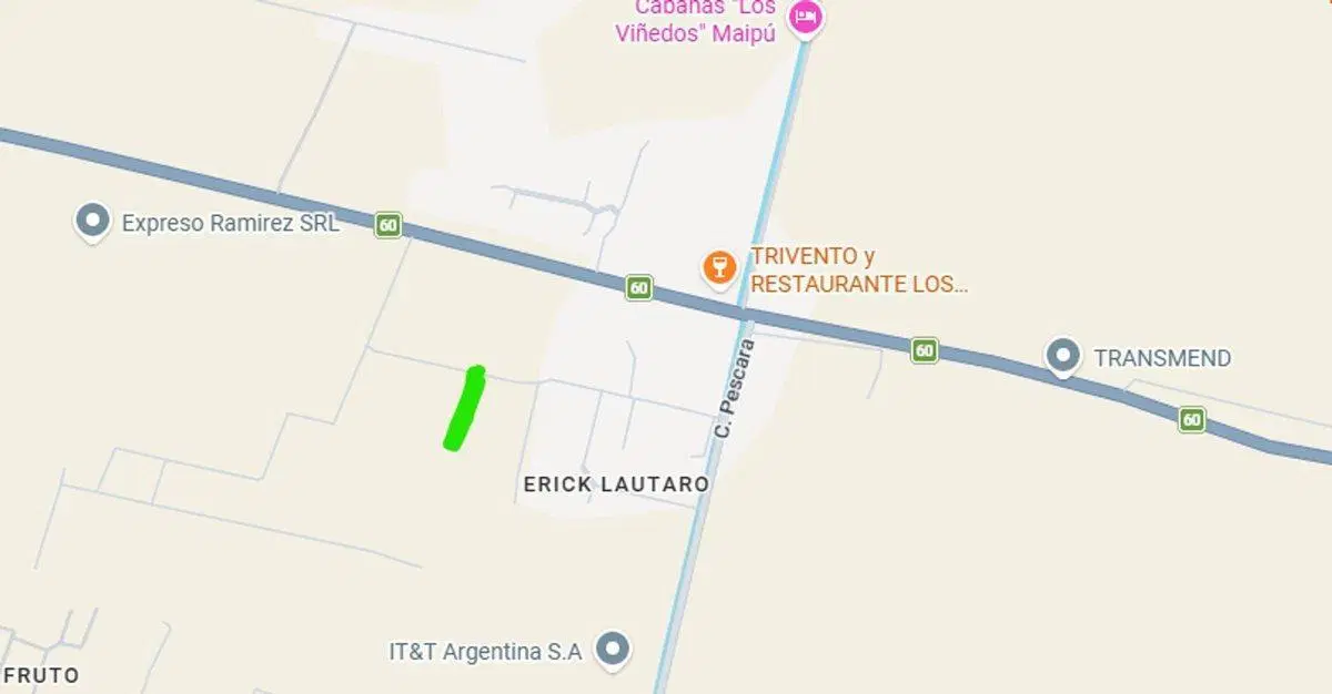 Terreno en venta 4000 m² Cruz de Piedra con olivos 3