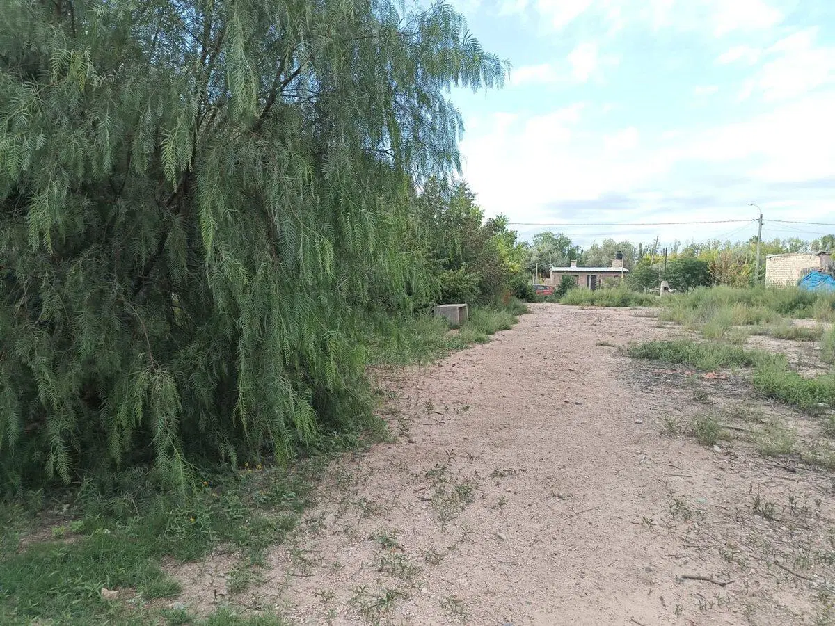 Terreno en venta 4000 m² Cruz de Piedra con olivos 2