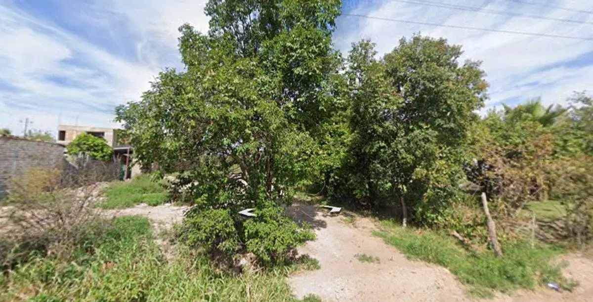 Terreno en venta 4000 m² Cruz de Piedra con olivos 4