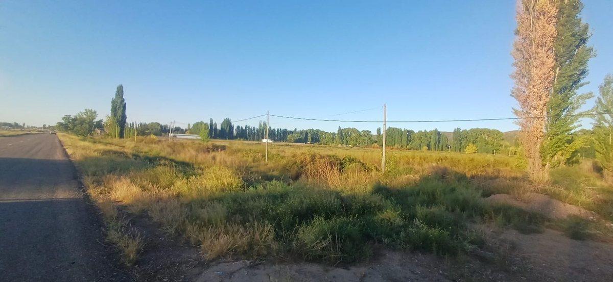 ALQUILER TERRENO 5.000 M2 . ACCESO SUR Y RUTA 7