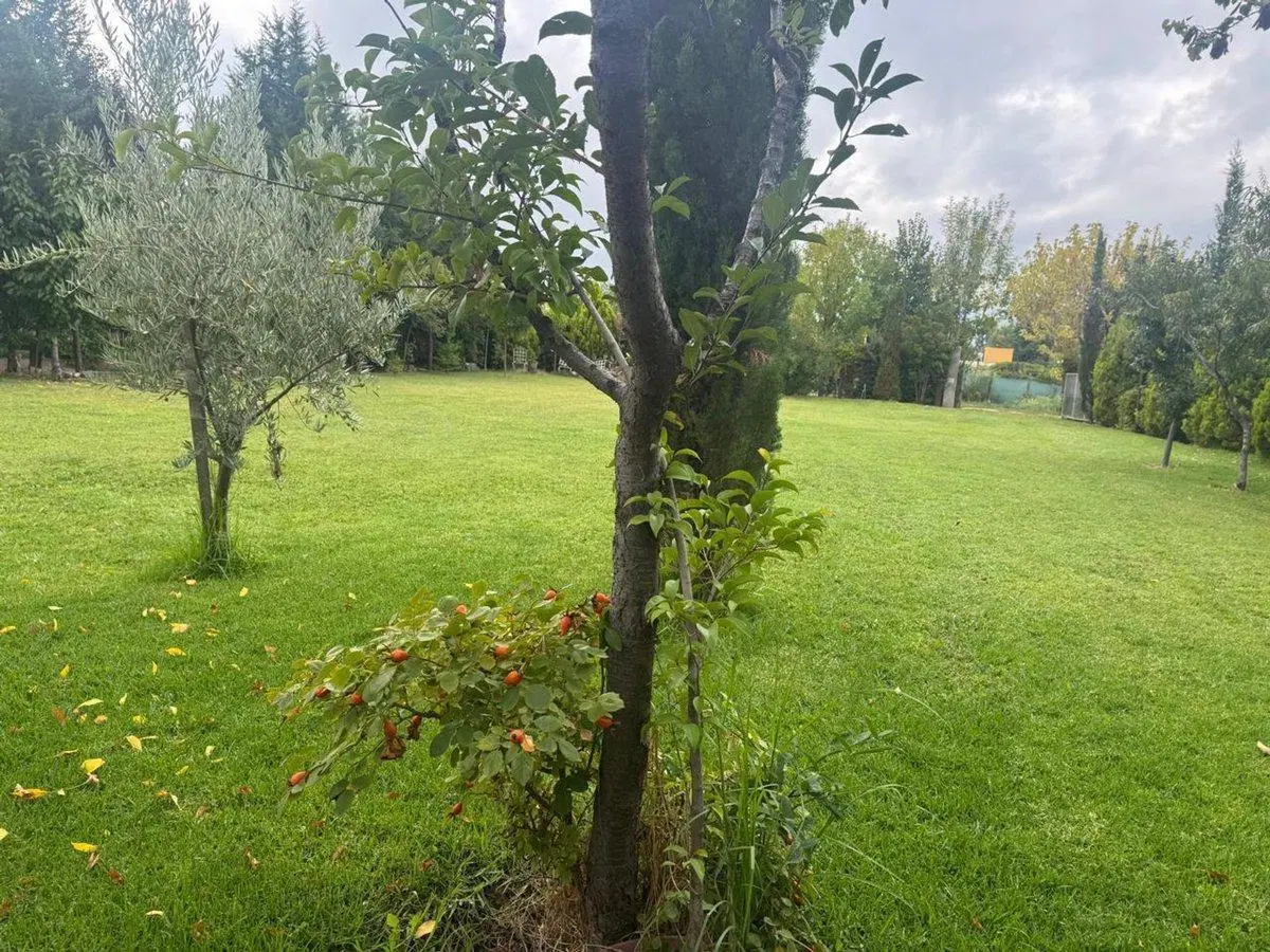 VENTA LOTE CON CASA LUJÁN DE CUYO 5