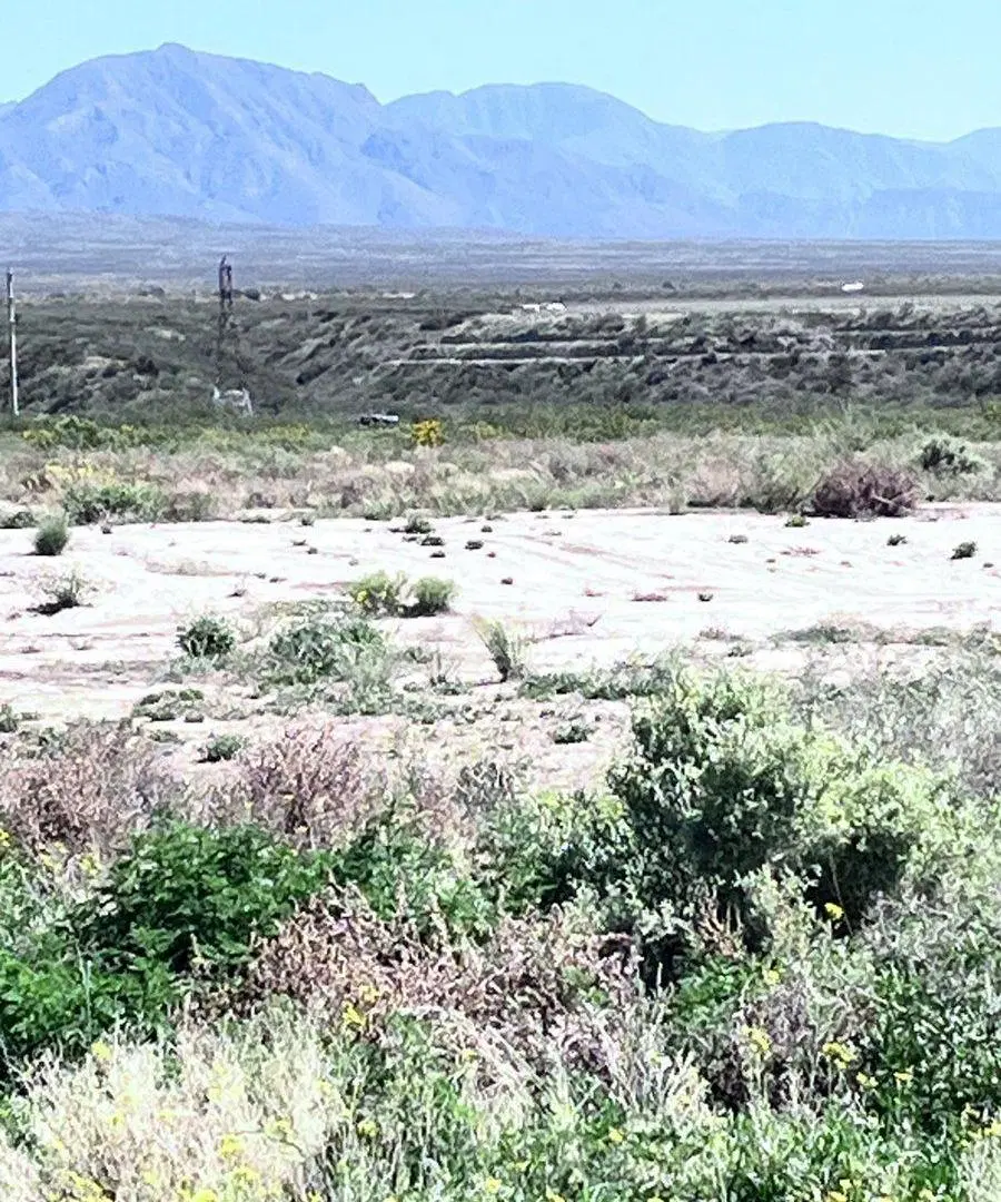 VENTA GRAN TERRENO Ruta Provincial 82 y Saenz Peña 5