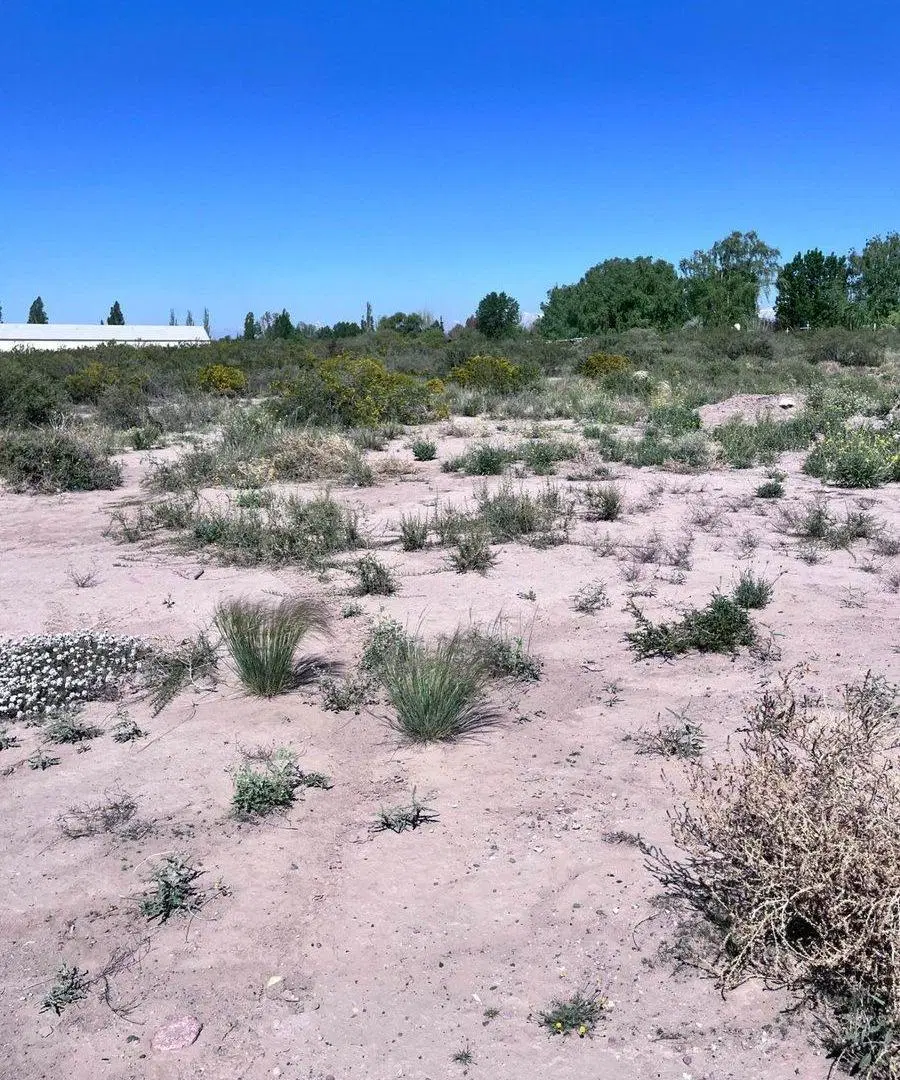 VENTA GRAN TERRENO Ruta Provincial 82 y Saenz Peña 2